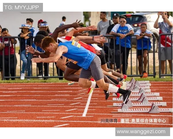 跨项目运动员成功案例