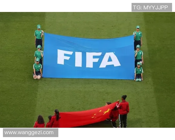 足球世界杯赛场安全措施及应急预案