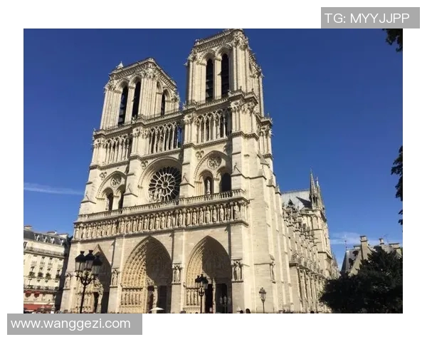 巴黎最新评分揭晓究竟是高光时刻还是低迷表现引发热议